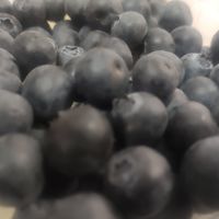 蓝莓真好吃