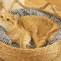 养宠家庭必备~给猫猫用的藤编编织猫爪板子，四季通用一体可拆卸。