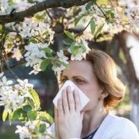 花粉过敏怎么回事