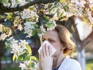 花粉过敏怎么回事