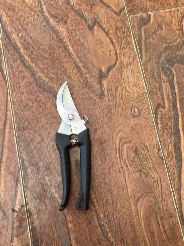 性价比超高，剪盆栽花挺好