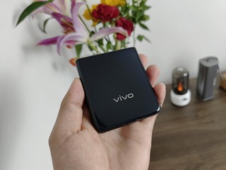 随手拍了vivo X Flip钻黑配色外观图