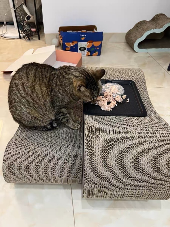 猫零食