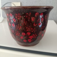 超级喜欢的一款陶瓷花盆，便宜好用，物超所值