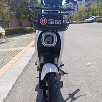 宝岛电动车30AH，真真假假，假假真真