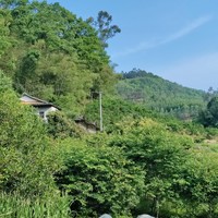 五一劳动节踏青春游计划