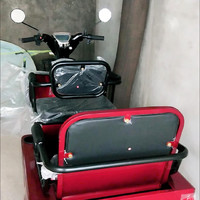 妈妈带我骑车去春游呀