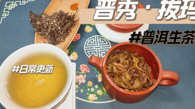 个人非专业品茶，普秀拔玛，普洱生茶