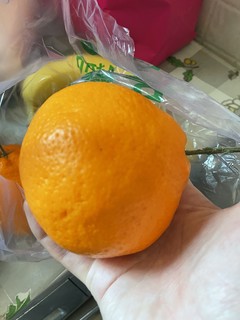 露营带啥水果——丑橘粑粑柑