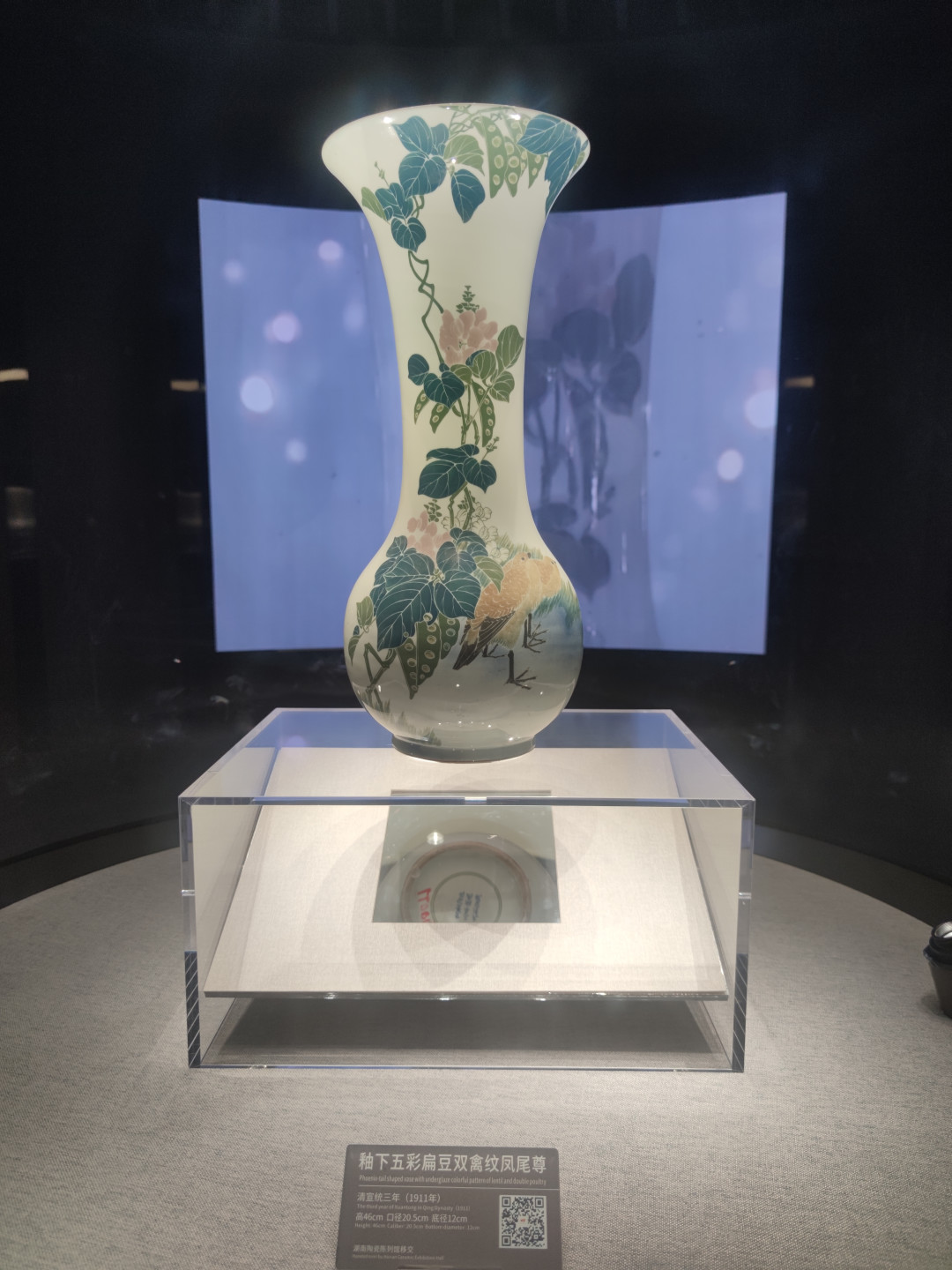 花瓶 中国花瓶 陶芸 湖南 醴陵 扁豆双禽凤尾尊 られれ