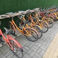 西安城市自行车真心不错，免费骑行世博园一圈，舒服