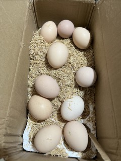 9.9买的20枚鸡蛋到啦🥚