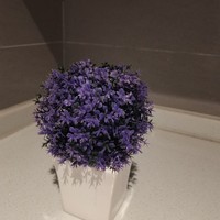 日百 篇四十三：复古紫色的小花花，我真的很喜欢