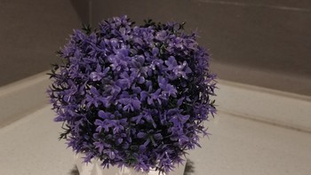 日百 篇四十三：复古紫色的小花花，我真的很喜欢