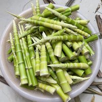 新鲜的嫩竹笋可以用来做什么菜？