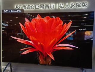 tcl98X11G 98英寸 真的是行业天花板吗