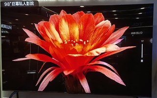 tcl98X11G 98英寸 真的是行业天花板吗