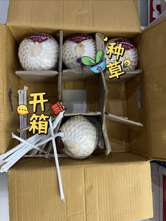 两箱18个，就快炫完了