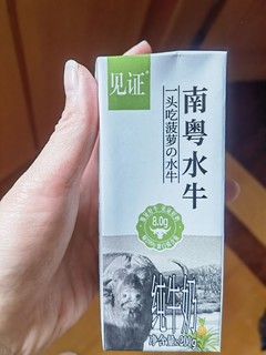 南粤水牛奶