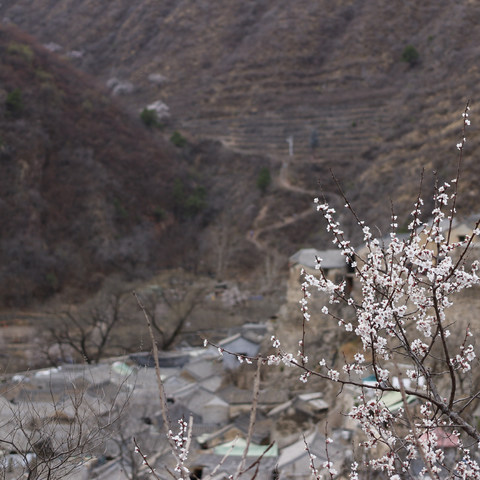 爱上花海，走进爨底下村，体验田园生活