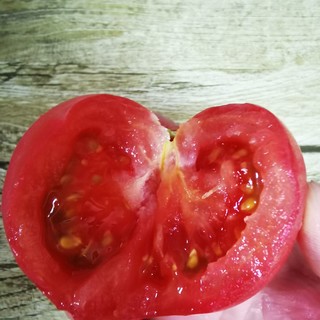 这款西红柿真好吃