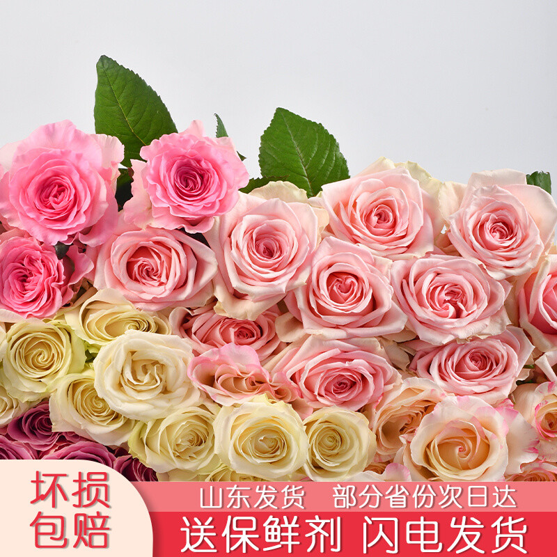 日常生活也需要一点快乐，偶尔买一束玫瑰开心开心吧