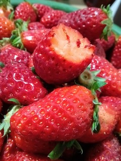 花小钱吃草莓的季节来了