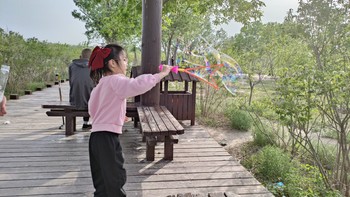 晃晃悠悠 篇二十三：五一游天津西青郊野公园
