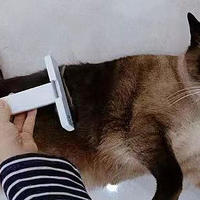养宠好物推荐 篇三：猫咪清洁好物之去浮毛梳子超好用
