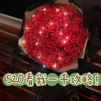 知识地图 篇五：千元内的520渡劫计划书
