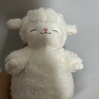 朋友过生日送的我这个小羊蛮可爱的
