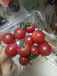 夏天到了就要吃小西红柿啊！
