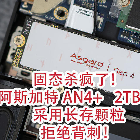 固态杀疯了！阿斯加特 AN4+2TB SSD，采用长存颗粒拒绝背刺！