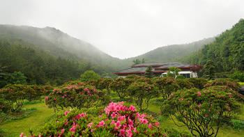 Taverns 篇四百零六：东钱湖畔的私藏别墅~人少景美的宁波南苑花园酒店 豪华别墅房 入住体验