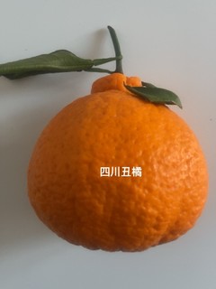 四川丑橘，酸甜口值得回购