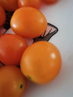 618种草小番茄。