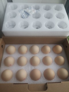 鸡蛋季卡