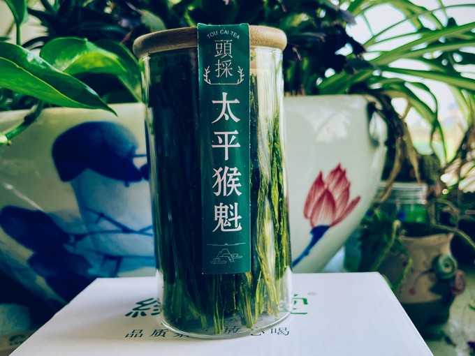 绿茶