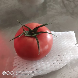 又大又红又好吃的西红柿