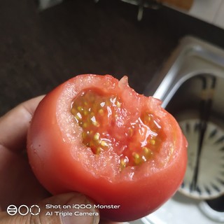 又大又红又好吃的西红柿