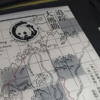 《追踪大熊猫》，一场寻找熊猫的人文之旅
