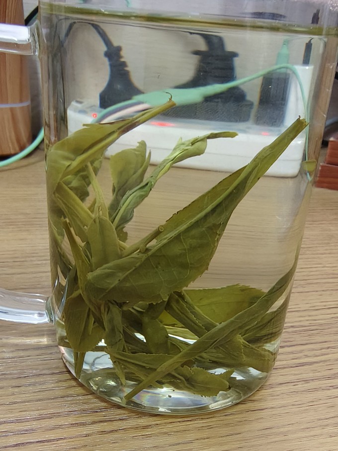 绿茶