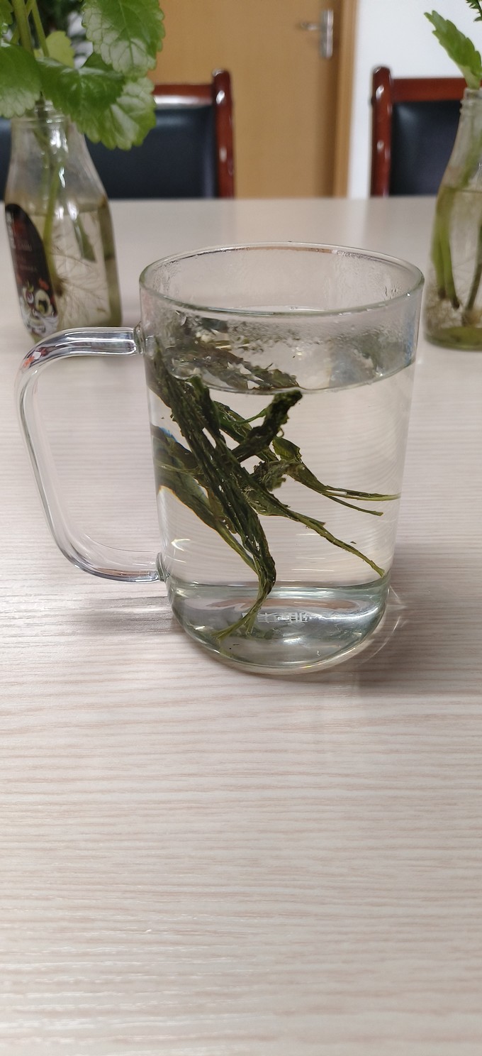 绿茶