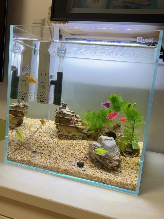 意牌鱼缸怎么样 包装很好,空了几天 又养了几天._什么值得买