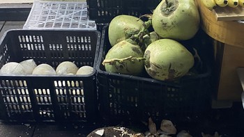 学校的椰子🥥七块钱一个