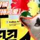  翠花，上猫砂！一直铲屎一直爽，洁癖党铲屎也能爽翻天！　