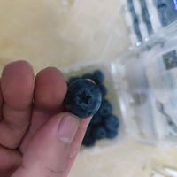 现在的蓝莓都是这么大的了吗