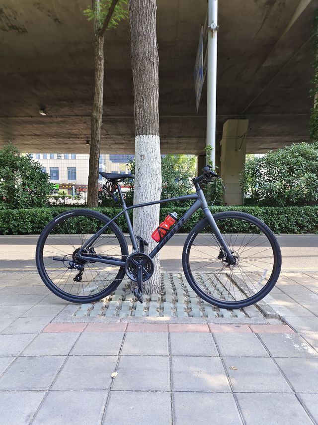 通勤减肥利器，平把公路车