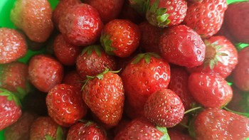 美味莓果：红颜草莓！草莓中的王者