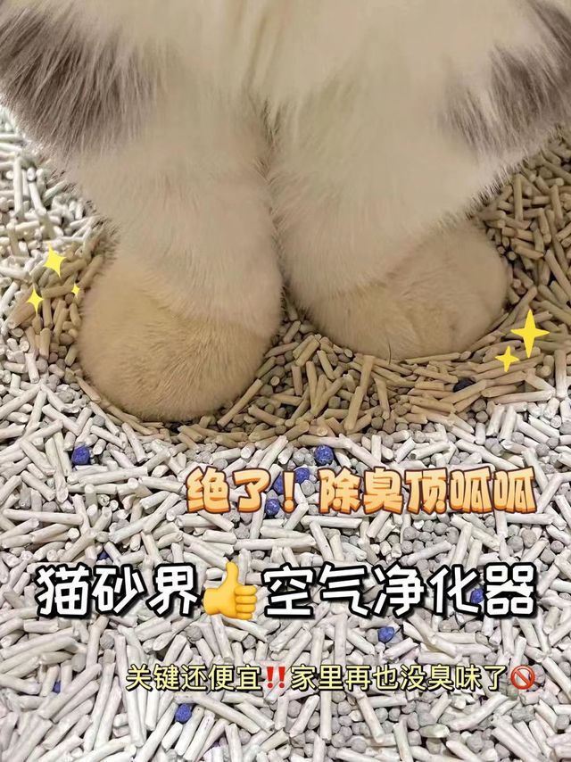 盒边猫砂，方便实用，猫咪喜爱